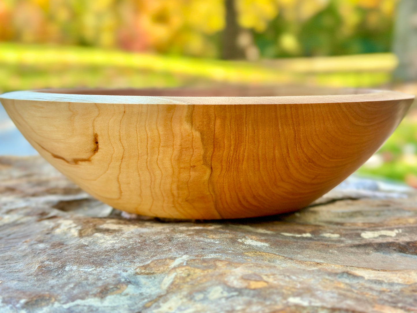 Black Cherry - Small (10 inch) Bowl