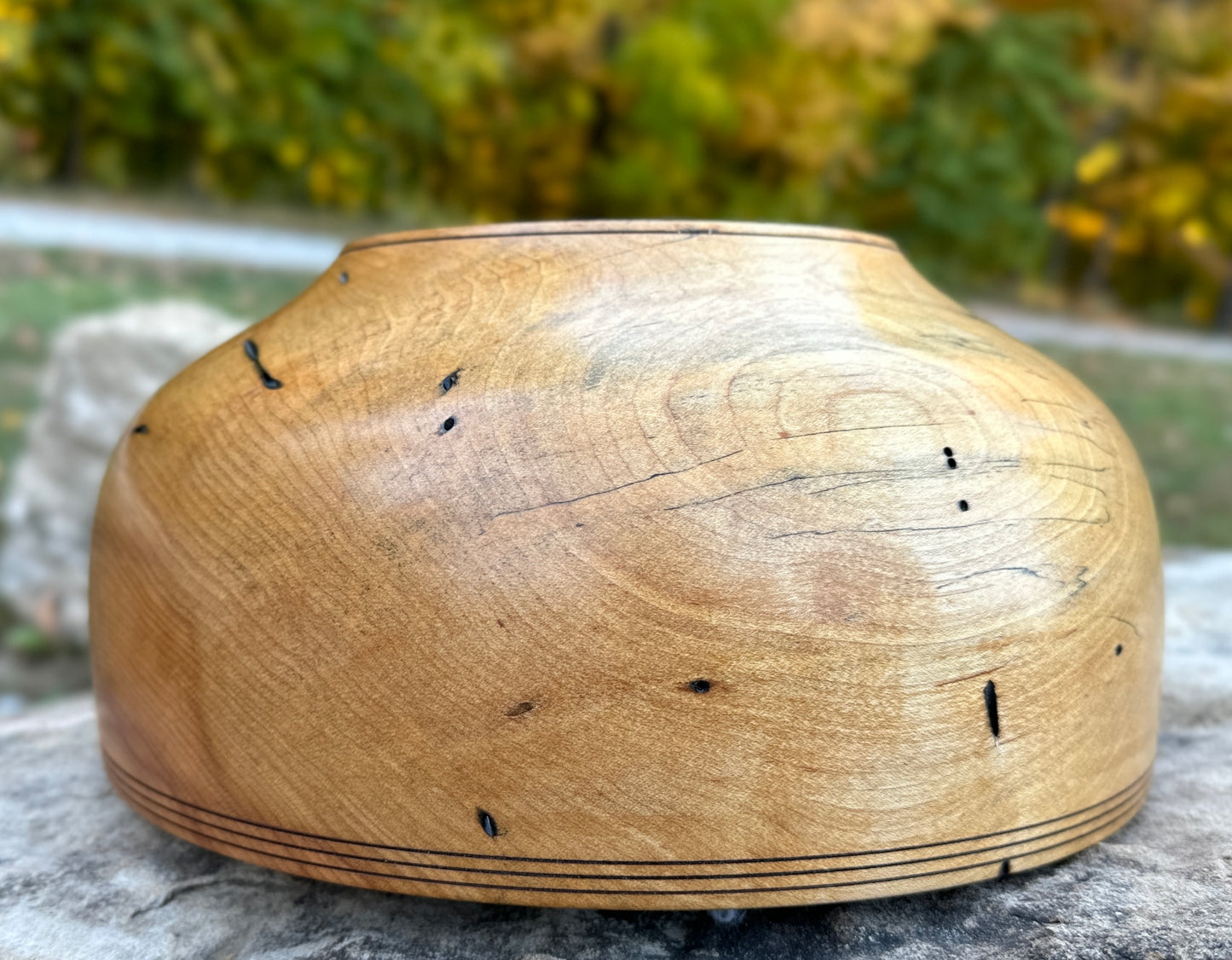 Sugar Maple - Medium (10 3/4 inch) Bowl