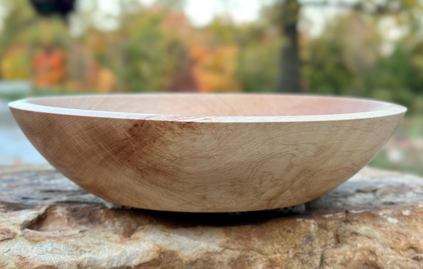 Sugar Maple - Medium (11 3/4 inch) Bowl