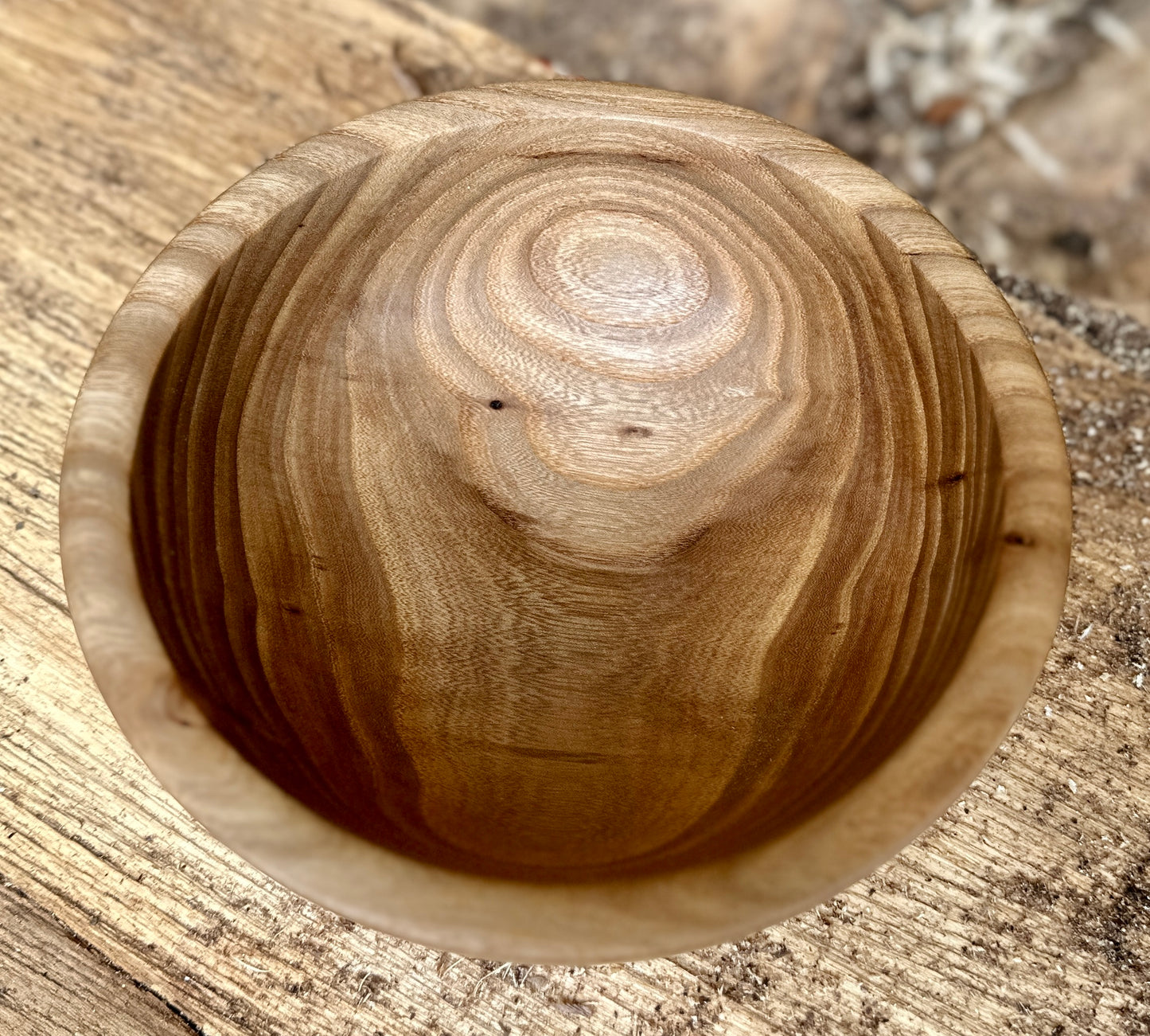 Elm - Small (6 3/4 inch) Bowl