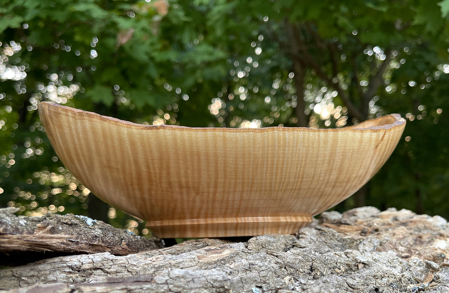 Live Edge- (10 1/2 inch) Curly Maple