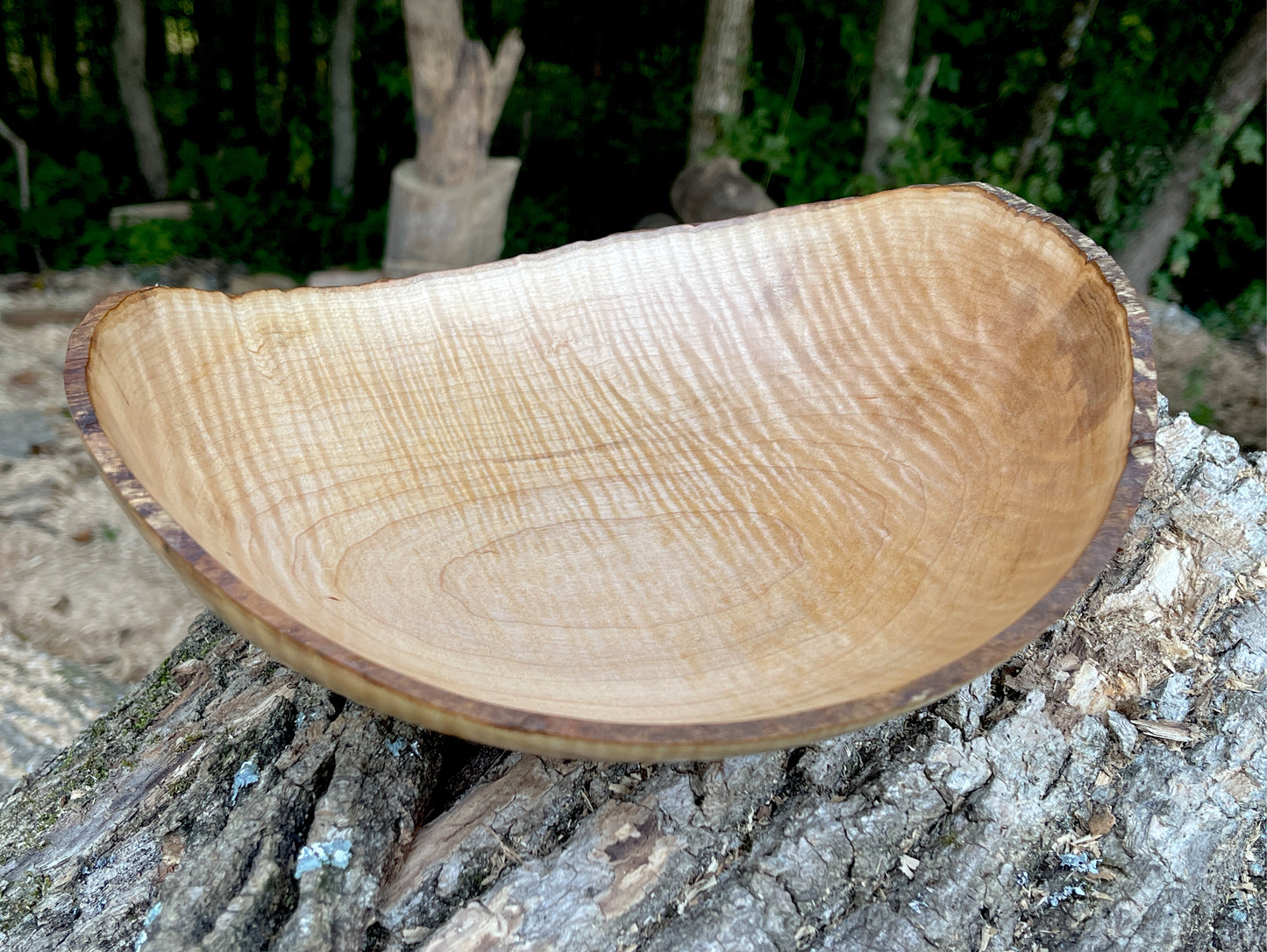 Live Edge- (10 1/2 inch) Curly Maple