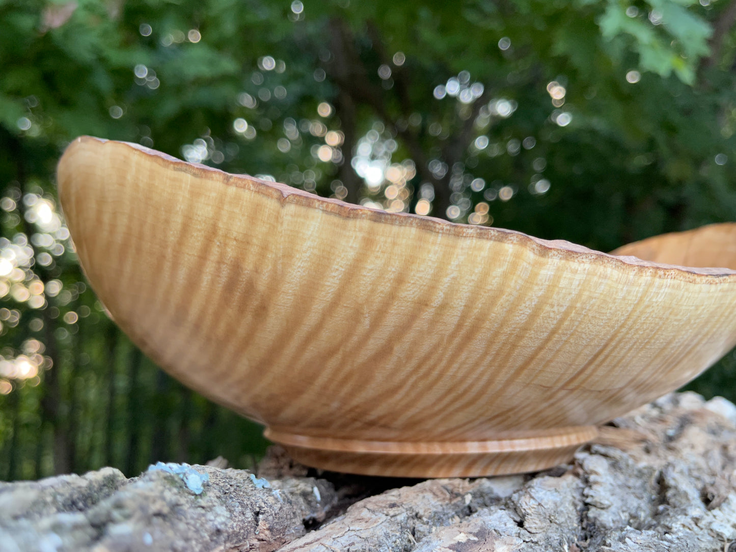 Live Edge- (10 1/2 inch) Curly Maple