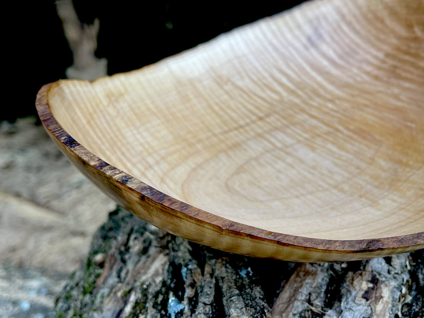 Live Edge- (10 1/2 inch) Curly Maple